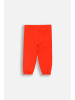 Coccodrillo Jogginghose  in rot