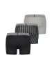 Levi´s Boxershorts LEVIS Men Giftbox Stripes Boxer Brief 3P in Black / Grey Melange