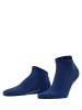 Falke Socken 1er Pack in Royalblau