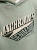 JACK & JONES Junior Kapuzensweatshirt JJELOGO SWEAT HOOD JNR in iceberg green