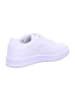 Puma Sneaker Low in weiß