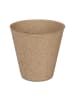 relaxdays 240x Anzuchttöpfe in Natur - (H)7,5 x Ø 8 cm