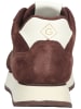 GANT Footwear Sneaker in Dunkelbraun