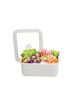 Honey Ware HONEYWARE | Emailledosen, VAKUUM, weiß, 1,12 L