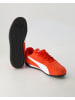Puma Fitnessschuhe in Rot