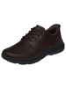 Skechers Pollard - Colt in Dunkelbraun