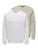 ONLY & SONS Sweatshirt Ceres in Hellgrau / beige