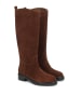 Kazar Stiefel in Hellbraun