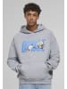 Mister Tee Sweat & Fleece - Hoody in grey