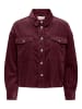ONLY Jacke in Tawny Port