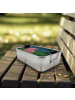 Mr. & Mrs. Panda Lunch Box Schwein Glück Design ohne Spruch in Weiß