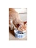 Blond Amsterdam Futternäpfe Delfts Blond Katze in Blau - 15,5cm