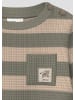 s.Oliver Strickpullover in 78X1_olivgrün
