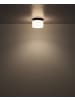 Globo lighting Deckenleuchte "TRENTON" in black
