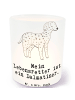 Mr. & Mrs. Panda Outdoor Windlicht Dalmatiner Lebensretter mit S... in Transparent