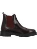 palado Chelsea Boots in bordo 702