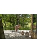 Villa Collection Laterne Amas in Natur