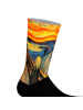 Jenes Socks Socken in Multicolored