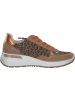 ara Schnürschuhe in BISCUIT NATUR WHISKY POPPY JAF
