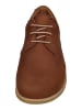KOEL Sneaker Low TIM LEATHER in braun