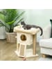 Pawhut Kratzbaum Beige 40B x 40T x 57H cm