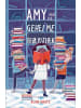 Hanser Amy und die geheime Bibliothek
