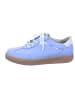Finn Comfort Sneaker Low in blau
