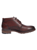LLOYD Stiefel VIBE 327GL in braun