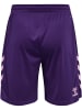 Hummel Hummel Kurze Hose Hmlcore Multisport Erwachsene Atmungsaktiv Schnelltrocknend in ACAI