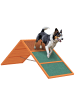 Pawhut Hunde Agility Steg Orange Tannenholz
