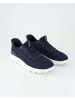 Geox Sportliche Schnürschuhe in Blau