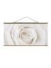 WALLART Stoffbild mit Posterleisten - Pretty White Rose in Weiß