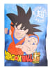 Dragon Ball Schlafanzug kurz Dragon Ball in Bunt