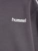 Hummel Sweatshirt Hmljr Interlock Kinder in SHARK