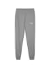 Puma Jogginghose teamGOAL Casuals Pants in grau