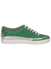 Caprice Sneaker in GREEN SUEDE