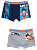 Dragon Ball 4er-Set: Boxershorts Dragon Ball in Bunt