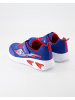 Geox Klettschuhe in Blau