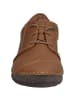 Josef Seibel Halbschuh Fergey 20 in brandy