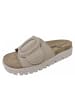 Cosmos Comfort Pantolette  in Beige