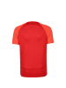 Nike Performance Trainingsshirt Academy Pro in rot / dunkelrot