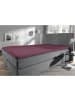 REDBEST Single-Jersey Topper-Spannbettlaken Denver in aubergine