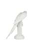 Goebel Deko-Objekt " Ara " in Biskuit weiß