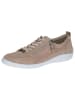 Caprice Sneaker in CREAM SUEDE
