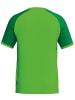 erima Sportshirt "Wings Jersey Shortsleeve" in Grün