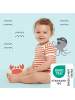 Schlummersack Bio Baby-Bodys kurzarm 5er-Pack in Hellblau-Rot