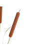 Beliani Kunstpflanze BULRUSH in Grün/Braun - (W) 30 x (H) 135 x (L) 30 cm