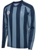 Hummel T-Shirt Hmlpulse Herren in BLUE MIRAGE/DRESS BLUE