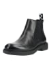 Steve Madden Stiefelette BRONN in Schwarz/Schwarz