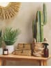 Beliani Kunstpflanze CACTUS in Grün/Schwarz - (W) 13 x (H) 78 x (L) 13 cm